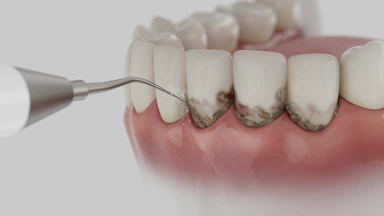 Reliable Dental contractor in Shepherd, MI by Dentist Open Now